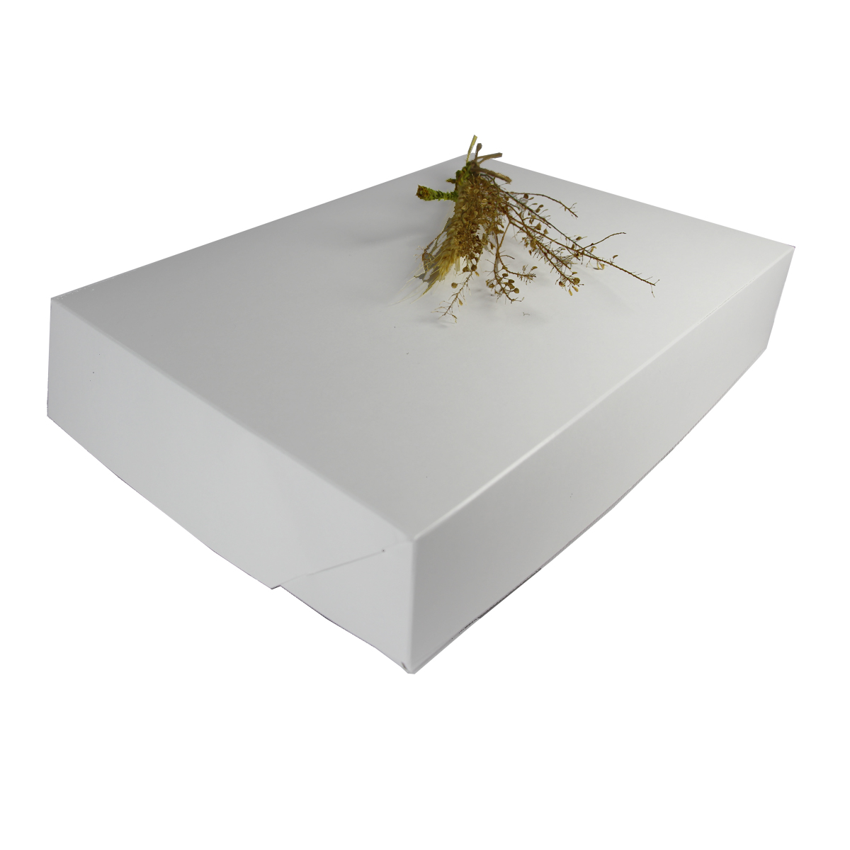 Caixa De Papel Para Presente Branca 27x19,5x5 cm R2